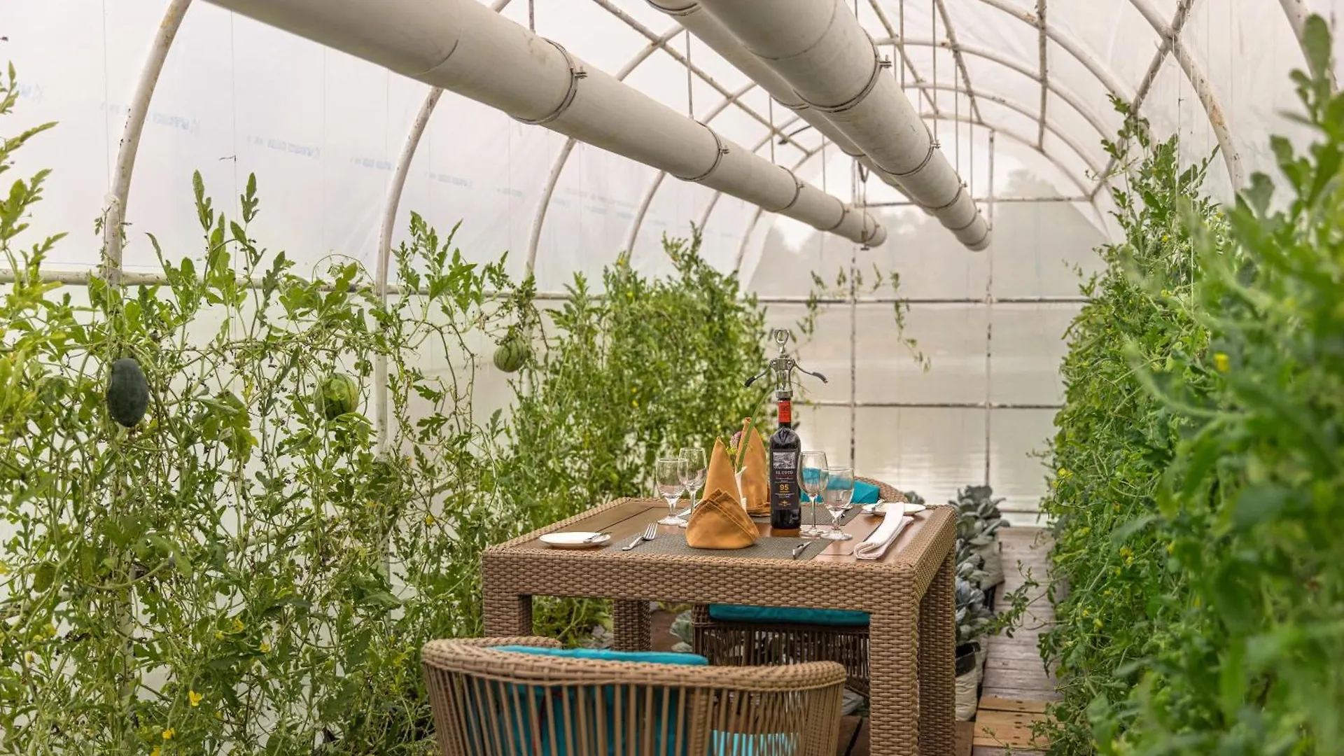 Bolagala Agro Floating Resort 니곰보 스리랑카